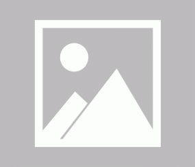 九游体育APP-瑞典超半场：亨茨破门，哥德堡1-0索尔纳